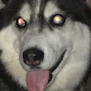 Meet your Posher, Danica